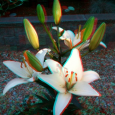Top 10 3D iPhonegraphy Apps 3D iPhoneography is a fast growing area and one that many people enjoy. There are several good 3D iPhone photo apps in the app store but they are hard to...