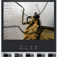 iPhone Photography Tutorial – Macro Photography Our new mobile photography tutorial section is in full swing and we’ve received much acclaim from the mobile photography community, thanks to all. If you’ve missed our previous tutorials you...