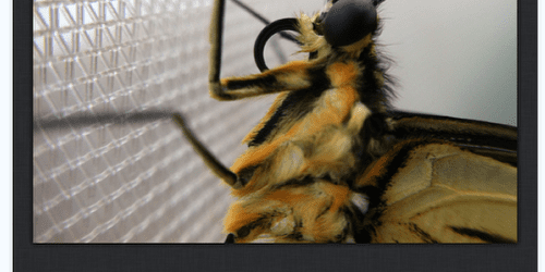 Our new mobile photography tutorial section is in full swing and we’ve received much acclaim from the mobile photography community, thanks to all. If you’ve missed our previous tutorials you...
