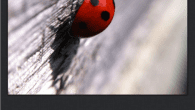 iPhone Photography Tutorial – How To Create An Awesome Macro Ladybird Image Our new mobile photography tutorial section is in full swing and we’ve received much acclaim from the mobile photography community, thanks to all. If you’ve missed our previous tutorials you...