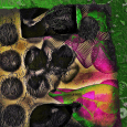 &nbsp; ‘Joanne was kind enough to have me join her incredible stable of visual experts and writers to craft articles about those areas of image creation that they are most...