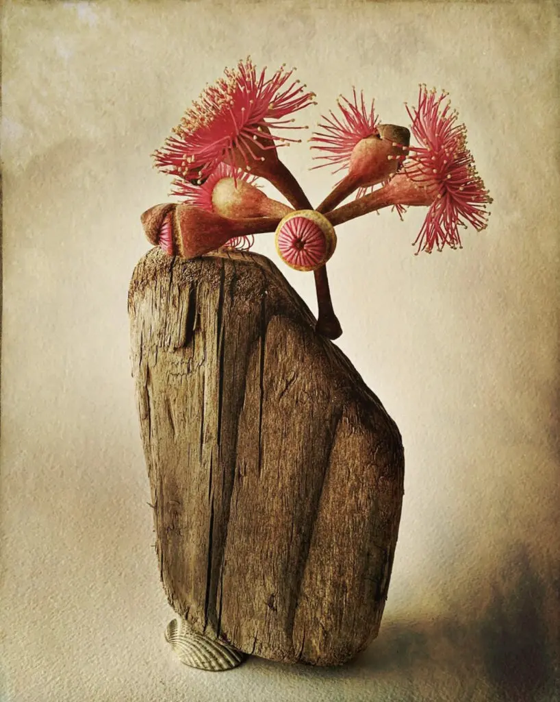 art