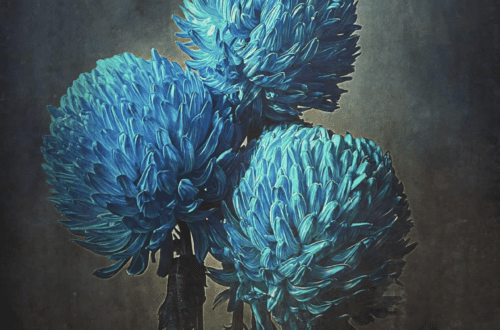 mobile flowers