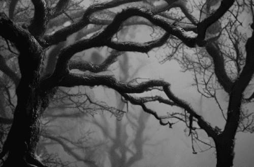 mobile trees