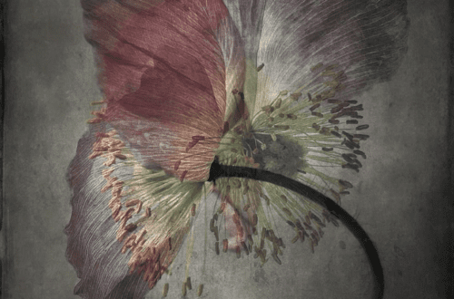 mobile flowers