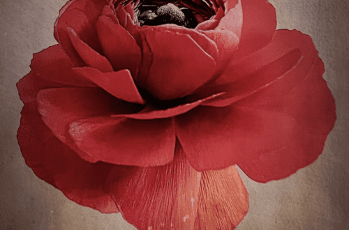 mobile flower