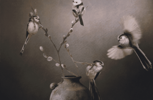 mobile birds
