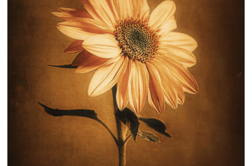 mobile flower