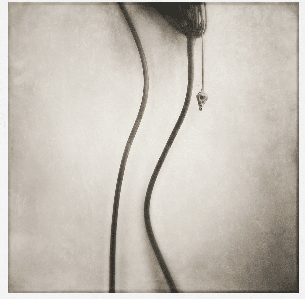 mobile flower
