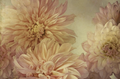 mobile flowers