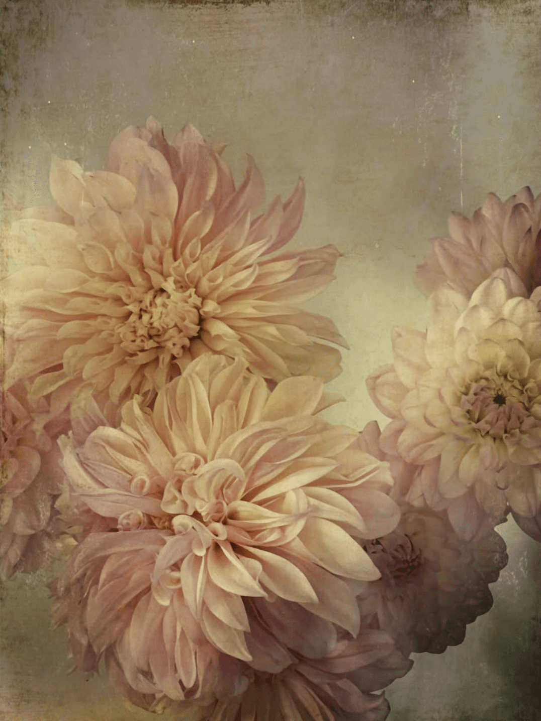 mobile flowers