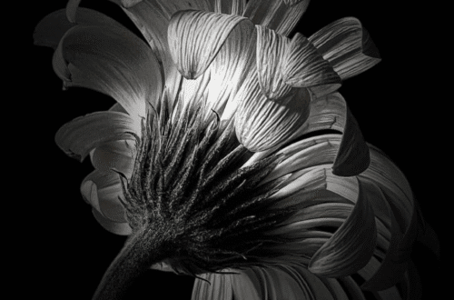 mobile flowers