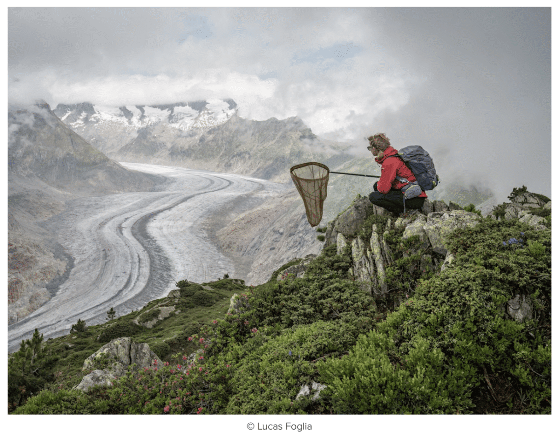 Lucas Foglia