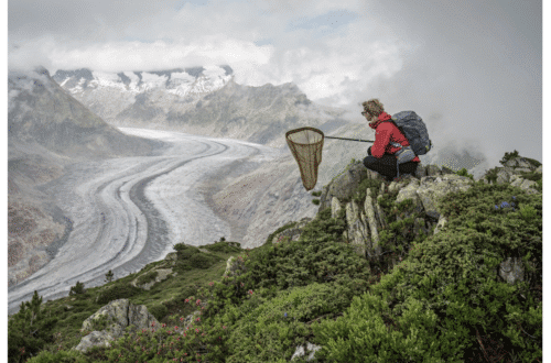 Lucas Foglia