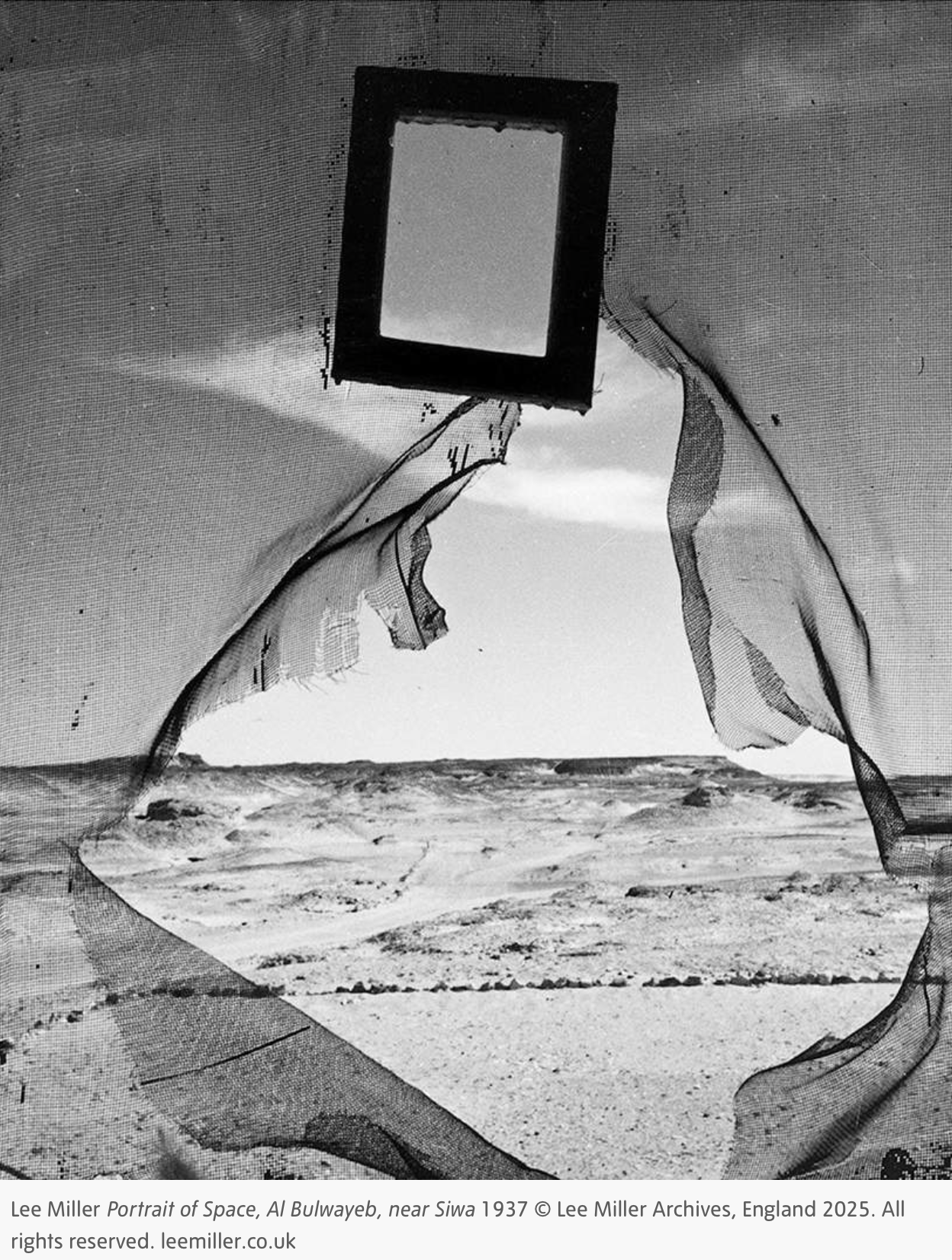 lee miller