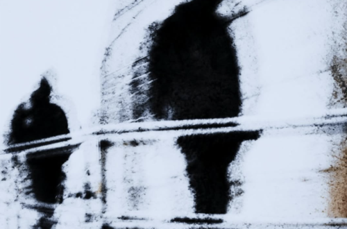 people walking in street