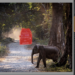 adobe lightroom