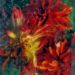 close up of flowers multi colour