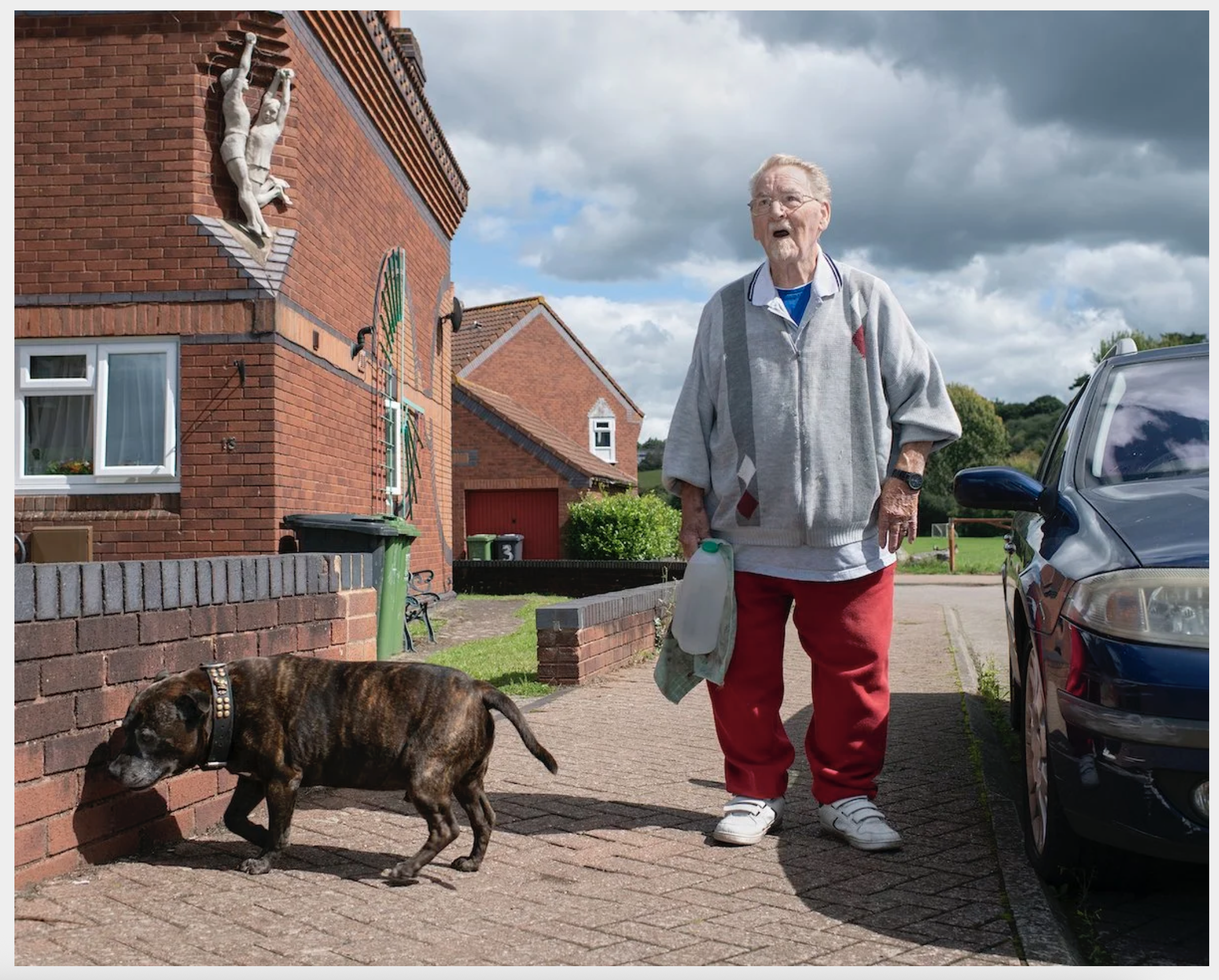 old man and old dog