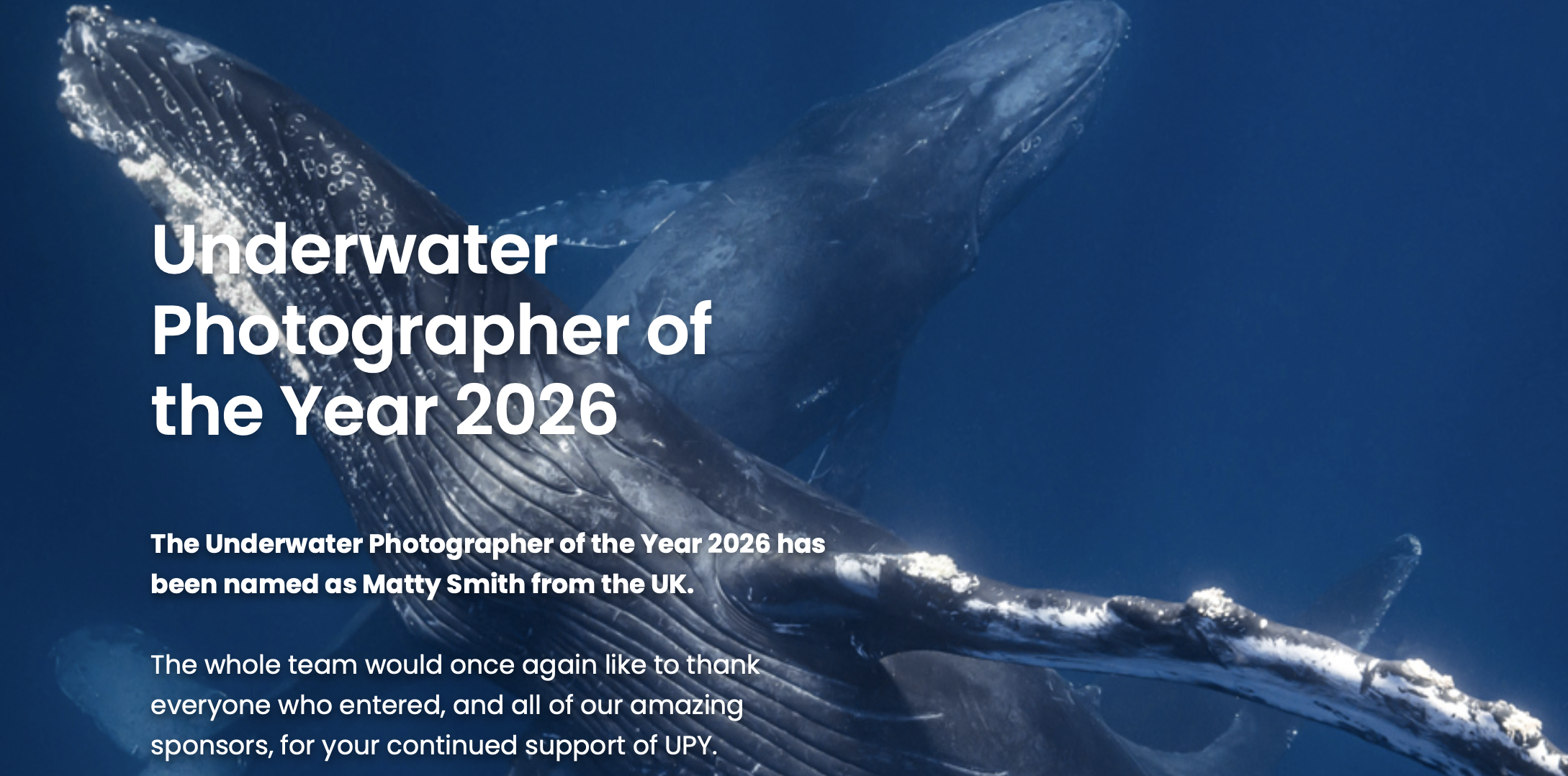 underwater photographer