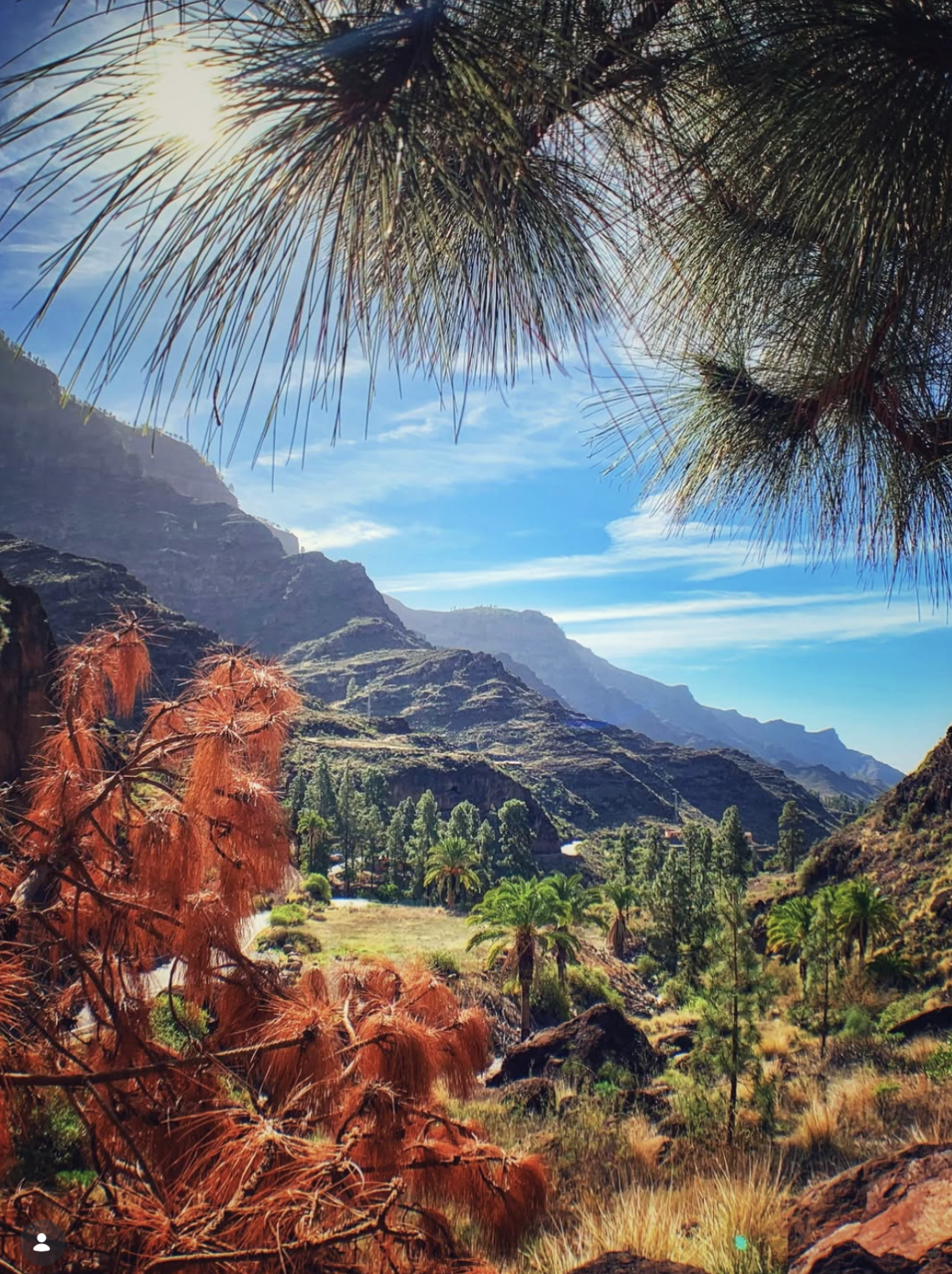 canary islands
