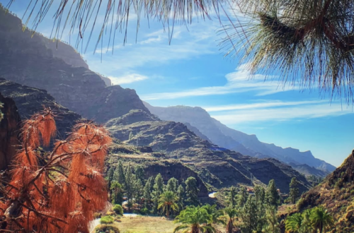 canary islands