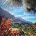 canary islands