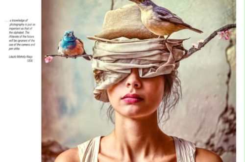 the photo review