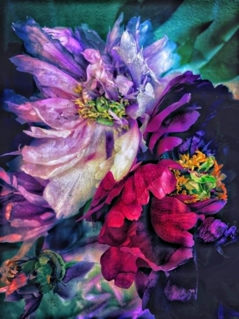 pink, purple, red flowers