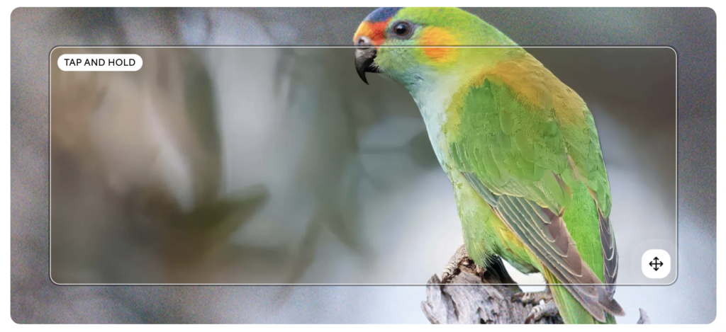 photograph of a green parrot, sideways on with blurred background