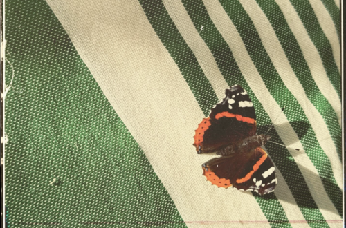 photograph of a red admiral butterfly on a green and white linen fabric