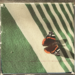 photograph of a red admiral butterfly on a green and white linen fabric
