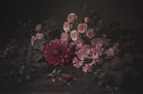 A low-key still life featuring a dramatic arrangement of pink roses, a deep magenta dahlia, delicate sweet peas, blackberries, fuchsia blossoms and dark foliage resting on a rustic wooden table. Soft directional light illuminates the flowers against a rich black background, creating a timeless, Dutch Master-inspired composition with a moody, painterly atmosphere.
