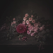 A low-key still life featuring a dramatic arrangement of pink roses, a deep magenta dahlia, delicate sweet peas, blackberries, fuchsia blossoms and dark foliage resting on a rustic wooden table. Soft directional light illuminates the flowers against a rich black background, creating a timeless, Dutch Master-inspired composition with a moody, painterly atmosphere.