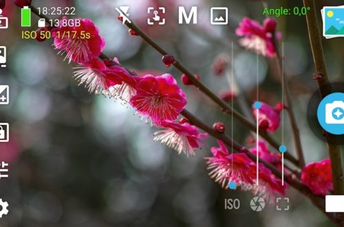 Screenshot of the HedgeCam 2 Android camera app interface showing advanced manual photography controls, including ISO, long exposure, focus, exposure adjustment and camera settings, while photographing pink blossom flowers in close-up.