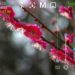 Screenshot of the HedgeCam 2 Android camera app interface showing advanced manual photography controls, including ISO, long exposure, focus, exposure adjustment and camera settings, while photographing pink blossom flowers in close-up.